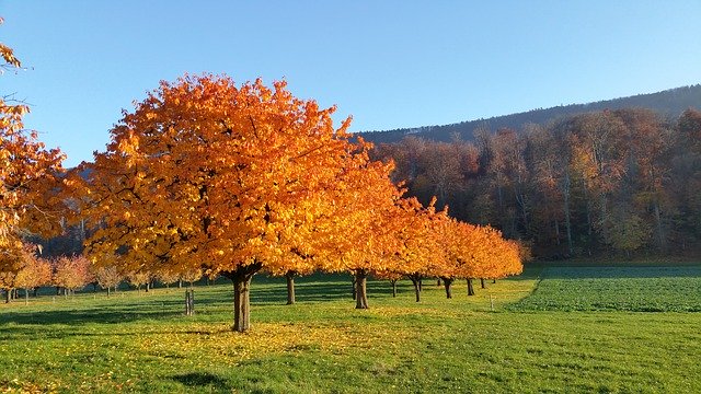 Free download Herbst Landschaft Landscape -  free photo or picture to be edited with GIMP online image editor