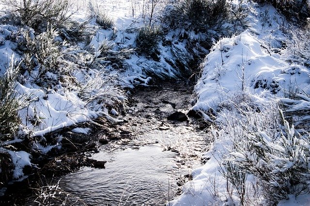 Free download HighFagne Belgium Nature free photo template to be edited with GIMP online image editor