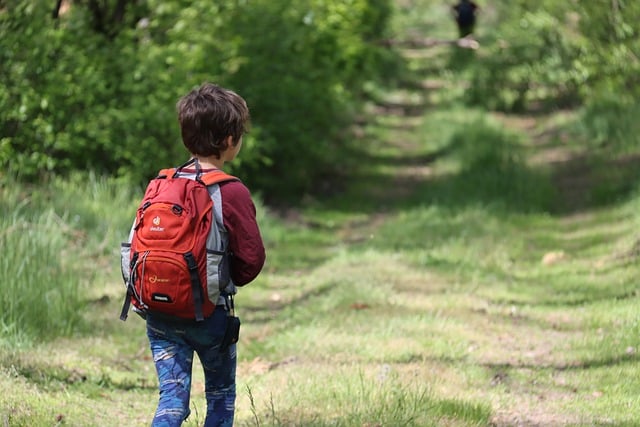 Free download hike boy hiking trail little boy free picture to be edited with GIMP free online image editor