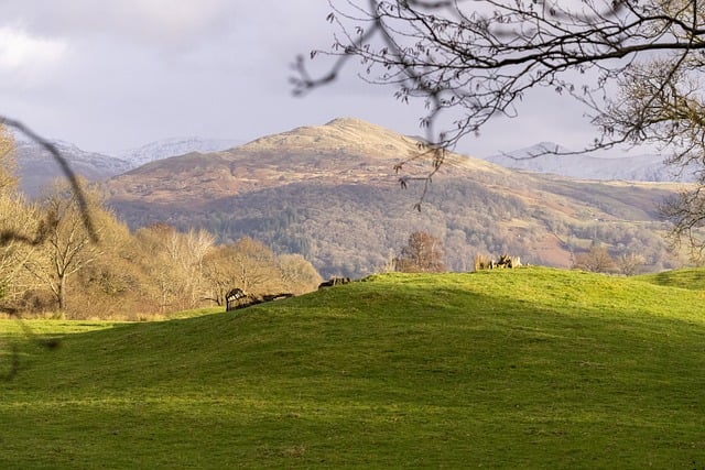 Free download hills mountains trees grass scenic free picture to be edited with GIMP free online image editor