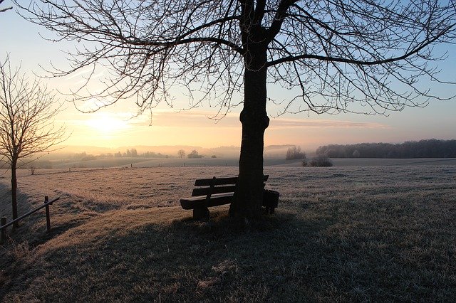 Free download Hoarfrost Winter Cold -  free photo or picture to be edited with GIMP online image editor