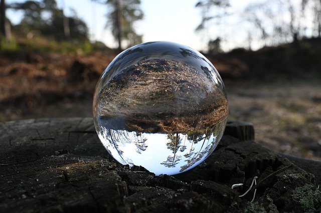 Free download Hoge Veluwe Nature Glass Ball -  free photo or picture to be edited with GIMP online image editor