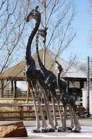 Free download Hogle Zoo: Giraffe Sculpture free photo or picture to be edited with GIMP online image editor