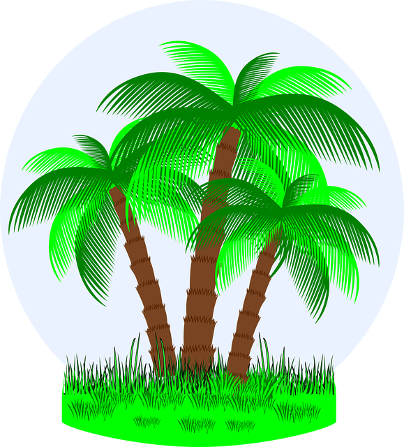 Unduh Gratis Liburan Musim Panas Tropis Palm Gambar vektor gratis di Pixabay ilustrasi gratis untuk diedit dengan GIMP online image editor