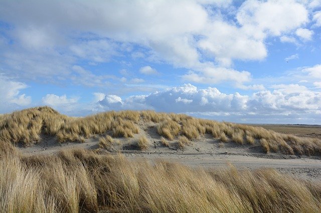 Free download Holland Dunes Ameland -  free free photo or picture to be edited with GIMP online image editor