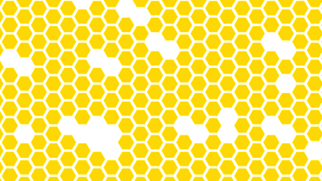 Free download Honey Slice Honeycomb -  free illustration to be edited with GIMP free online image editor