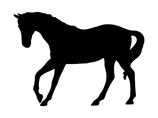 Free download Horse Black Outline -  free illustration to be edited with GIMP free online image editor