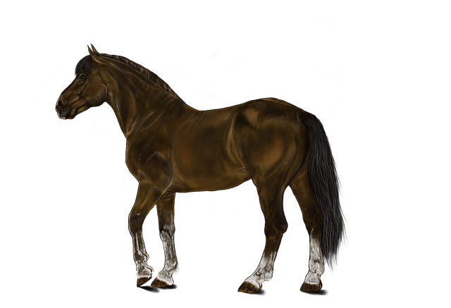 Free download Horse Brown Mammal -  free illustration to be edited with GIMP free online image editor