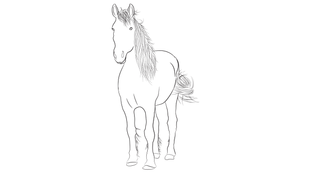 Free download Horse Coloring Racing -  free illustration to be edited with GIMP free online image editor