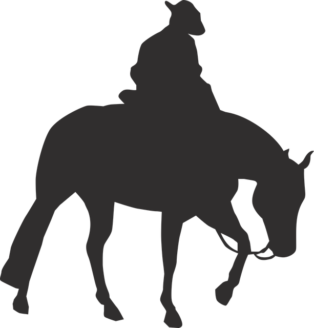 Horse Cowboy HorsebackFree vector graphic on