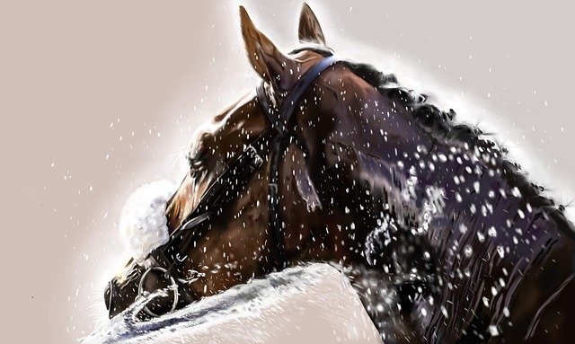 Free download Horse Digital Art Equestrian -  free illustration to be edited with GIMP free online image editor