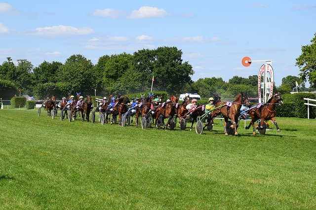 Free download Horse Equestrian Race -  free photo or picture to be edited with GIMP online image editor