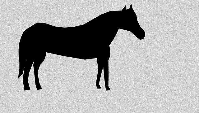 Free download Horse Equine Equestrian -  free illustration to be edited with GIMP free online image editor