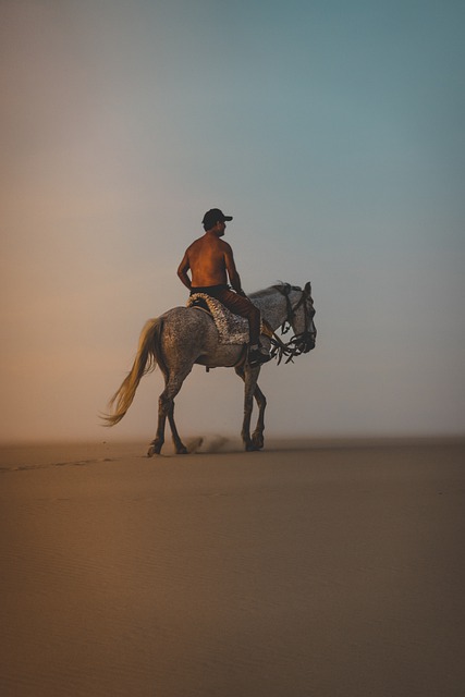 Free download horse man beach horseback riding free picture to be edited with GIMP free online image editor