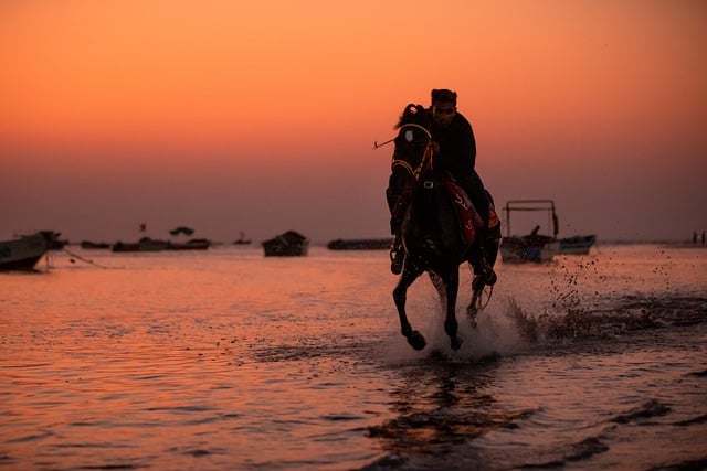 Free download horse man horseback riding sunset free picture to be edited with GIMP free online image editor