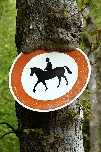 Free download Horse Riding Prohibited Tree -  free photo or picture to be edited with GIMP online image editor