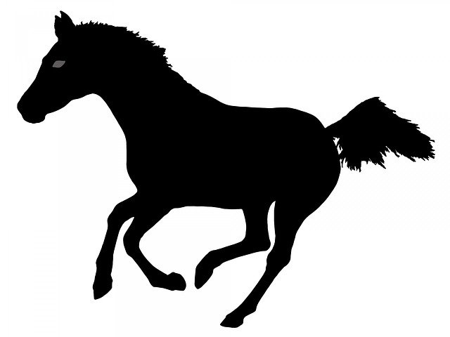 Free download Horse Running -  free illustration to be edited with GIMP free online image editor