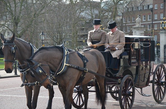 Free download Horses Carriage Horse -  free photo or picture to be edited with GIMP online image editor