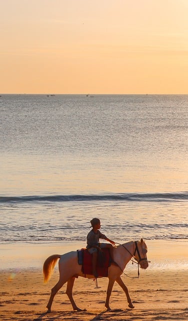 Free download horse sea boy child ride beach free picture to be edited with GIMP free online image editor