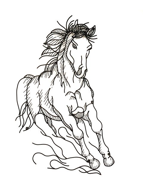 Free download Horses Photos -  free illustration to be edited with GIMP free online image editor