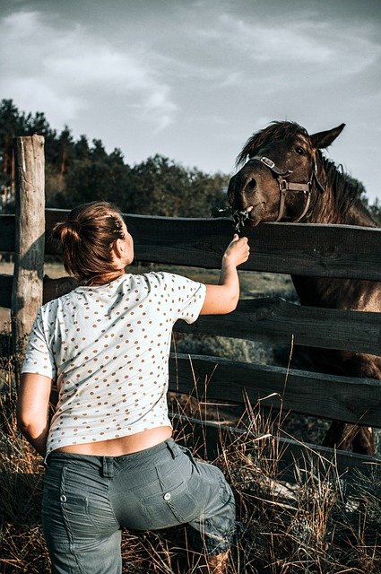 Free download horse village animal friends woman free picture to be edited with GIMP free online image editor