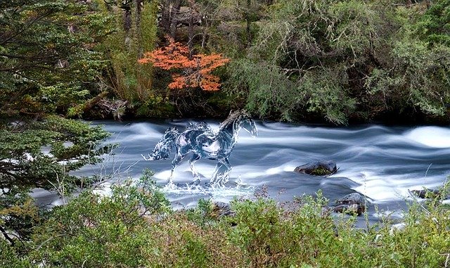 Free download Horse Water Forests -  free illustration to be edited with GIMP free online image editor