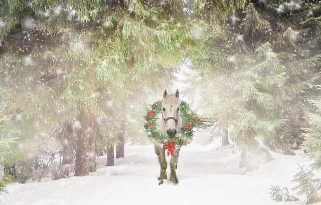 Free download horse wreath christmas scene free picture to be edited with GIMP free online image editor