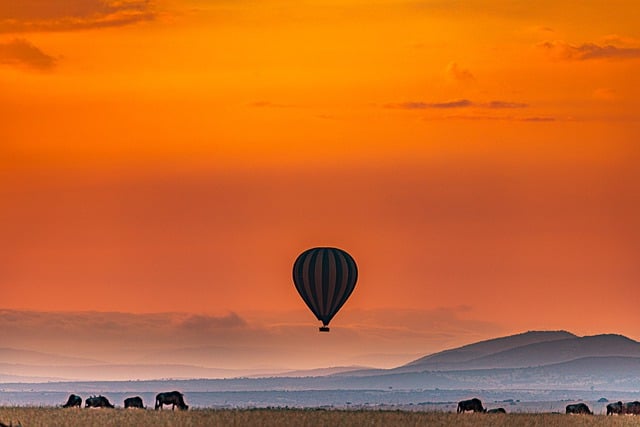 Free download hot air balloon mountains free picture to be edited with GIMP free online image editor