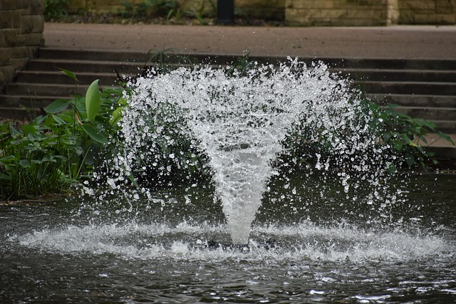 Free download houston zoo fountain park pond free picture to be edited with GIMP free online image editor