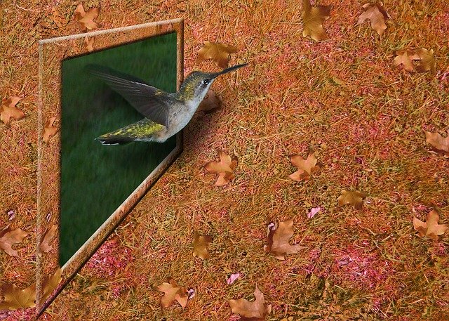 Free download Hummingbird Bird 3D -  free illustration to be edited with GIMP free online image editor