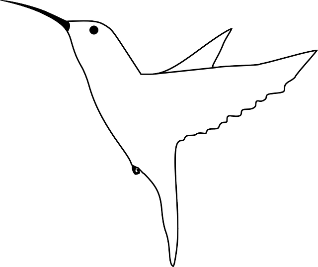 Free download Hummingbird Humming Small - Free vector graphic on Pixabay free illustration to be edited with GIMP free online image editor