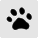 Hungry Kitten  screen for extension Chrome web store in OffiDocs Chromium