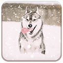 Husky Puppy In Snow  screen for extension Chrome web store in OffiDocs Chromium