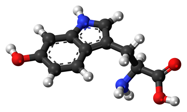 Free download Hydroxytryptophan Chemistry Atoms -  free illustration to be edited with GIMP free online image editor