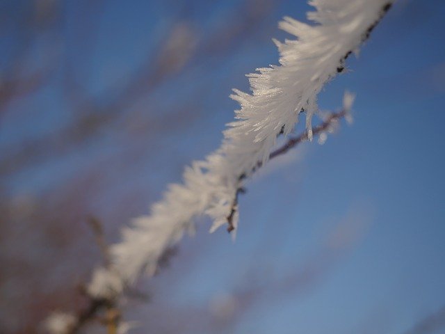 Free download Ice Crystal Branch Winter -  free photo or picture to be edited with GIMP online image editor