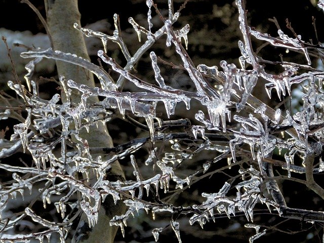 Free download Icicle Icicles Ice Storm -  free photo or picture to be edited with GIMP online image editor