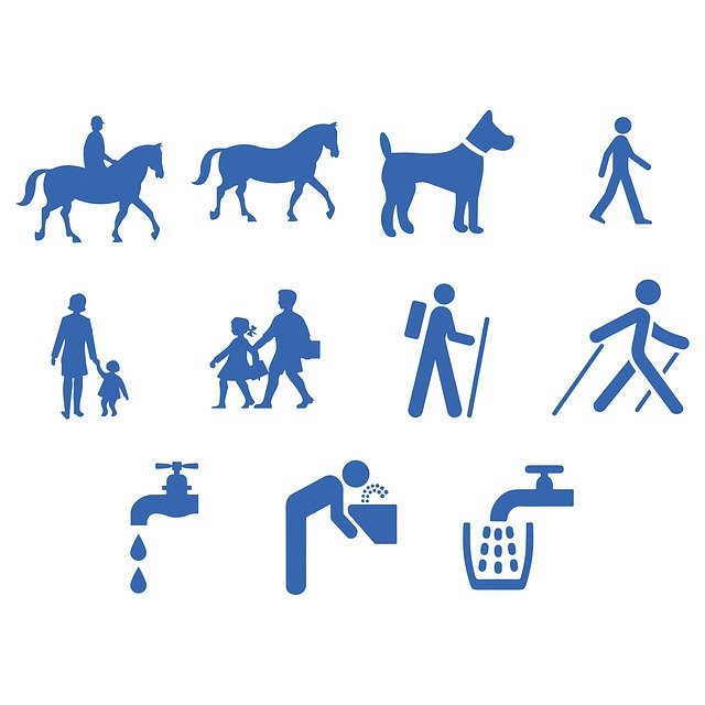 Free download Icon Walking Running Horse -  free illustration to be edited with GIMP free online image editor