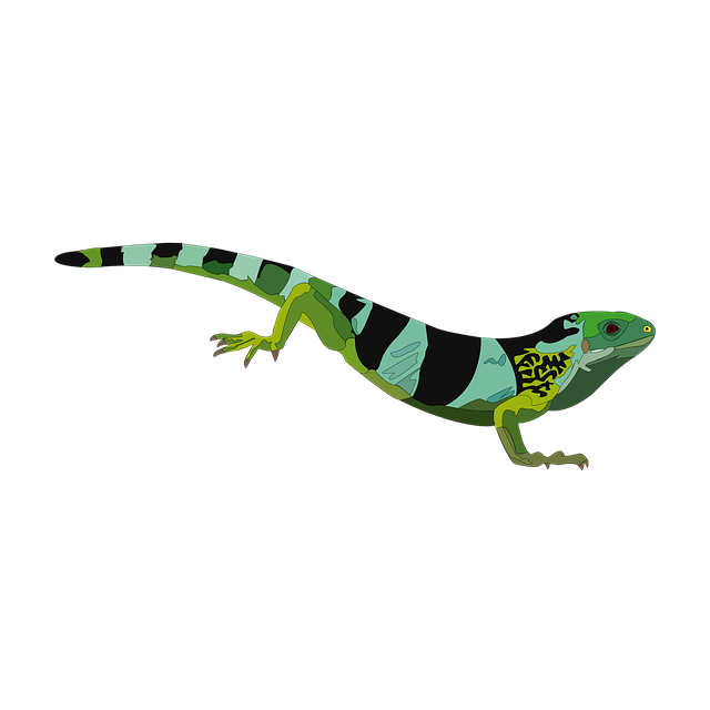 Free download Iguana Reptile Green -  free illustration to be edited with GIMP free online image editor