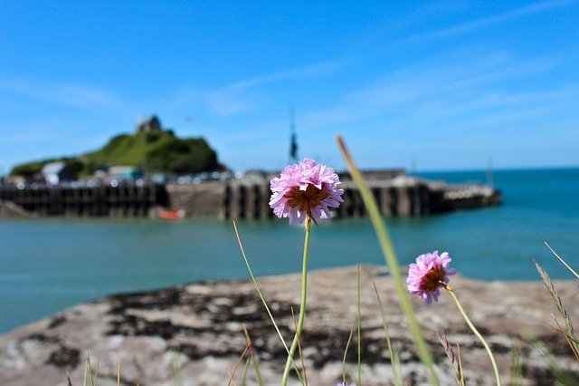 Free download Ilfracombe Verity Damien Hirst -  free photo or picture to be edited with GIMP online image editor