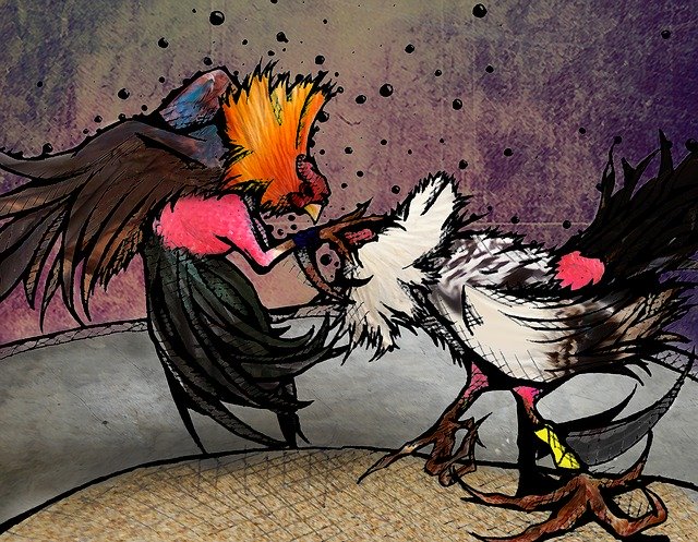 Free download Illustration Roosters -  free illustration to be edited with GIMP free online image editor