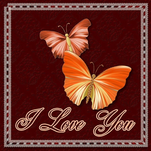 Free download I Love You Butterflies Greeting -  free illustration to be edited with GIMP free online image editor