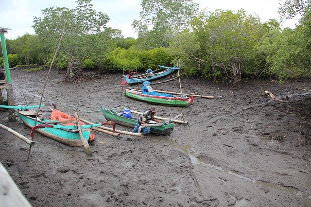 Free download Indonesia Boats Mud -  free photo or picture to be edited with GIMP online image editor