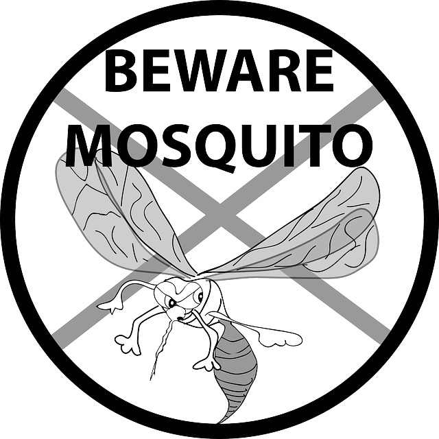 Free download Information Warning Mosquito - Free vector graphic on Pixabay free illustration to be edited with GIMP free online image editor