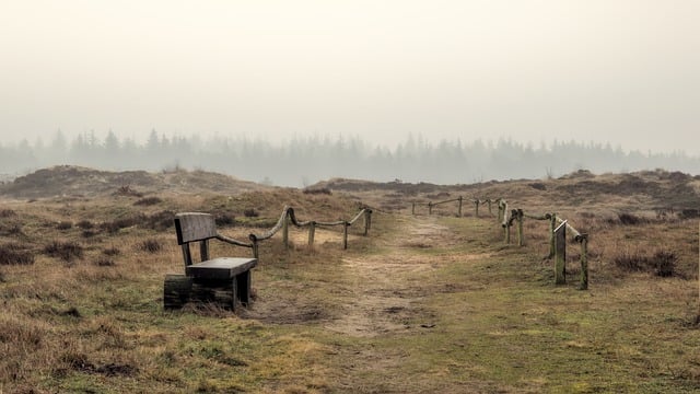 Free download inland dunes path fog free picture to be edited with GIMP free online image editor