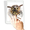 Insect 3D Spin General  screen for extension Chrome web store in OffiDocs Chromium