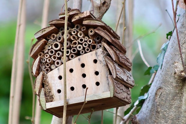 Free download insect hotel bee hotel free picture to be edited with GIMP free online image editor