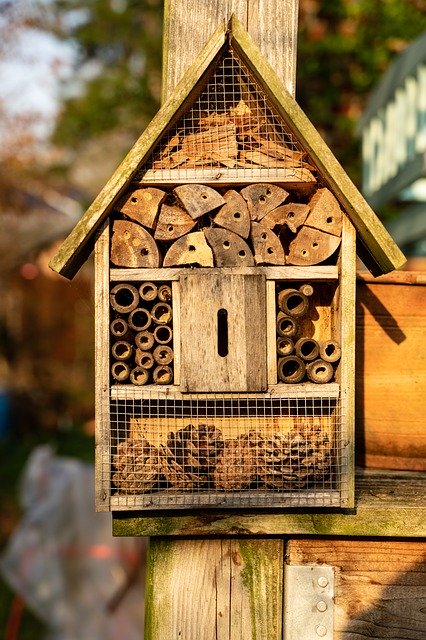 Free download Insect Hotel Summer -  free photo or picture to be edited with GIMP online image editor