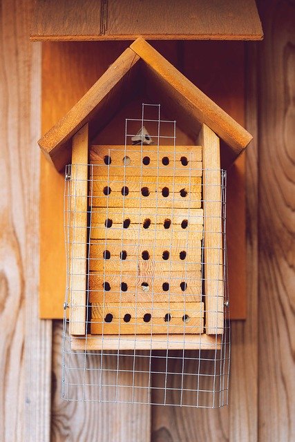 Free download Insect House Bee Hotel Solitary -  free photo or picture to be edited with GIMP online image editor