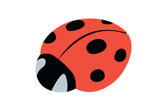 Free download Insect Ladybug Beetle -  free illustration to be edited with GIMP free online image editor