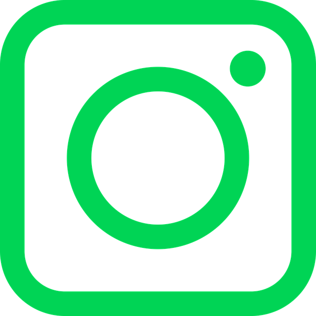 Free download Instagram Social Networks - Free vector graphic on Pixabay free illustration to be edited with GIMP free online image editor